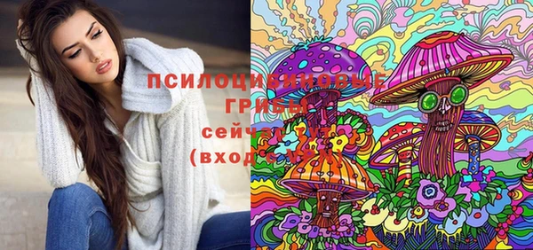 2c-b Михайловск