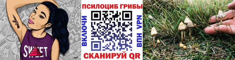 Псилоцибиновые грибы GOLDEN TEACHER  Микунь 